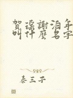 贺瑶谢泊年小说叫什么名字封面