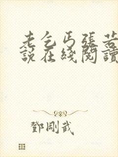 老乞丐张若曦小说在线阅读