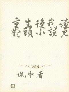 重生后我渣了死对头小说免费阅读