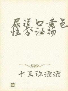 尿道口黄色液体性分泌物