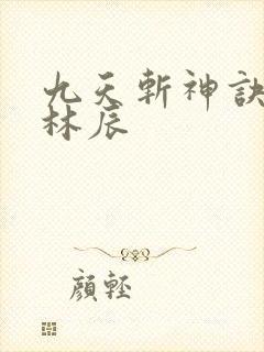 九天斩神诀免费林辰