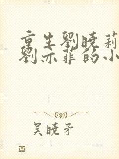 重生刘晓莉收了刘亦菲的小说封面