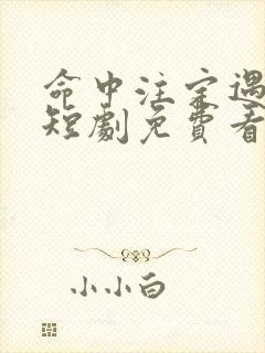 命中注定遇见你短剧免费看