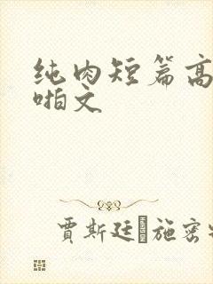 纯肉短篇高h啪啪文封面