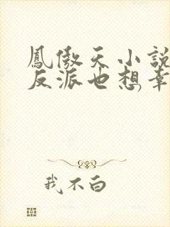 凤傲天小说里的反派也想幸福第九卷