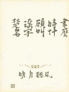 楚瑶顾时聿小说名字叫什么