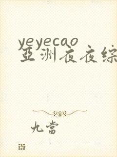 yeyecao亚洲夜夜综合久久