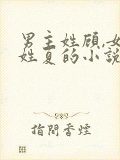 男主姓顾,女主姓夏的小说