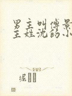 男主叫傅景琛女主姓沈的小说