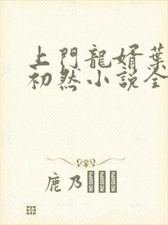 上门龙婿叶辰萧初然小说全集