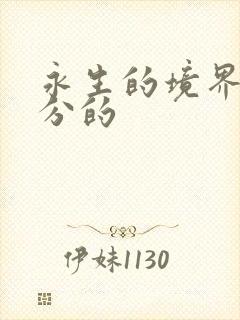 永生的境界怎么分的封面