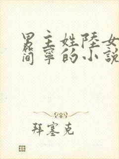 男主姓陆女主叫简宁的小说