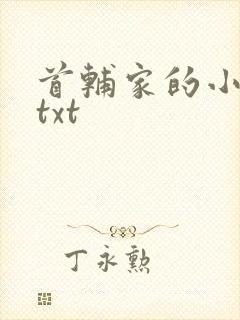 首辅家的小娇娘txt