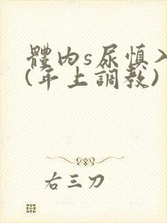 体内s尿慎入h(年上调教)