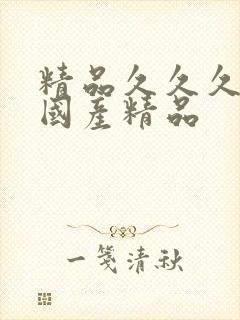 精品久久久久久国产精品