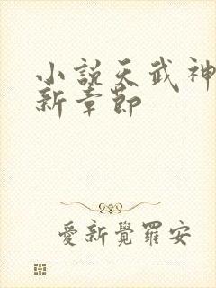 小说天武神帝最新章节