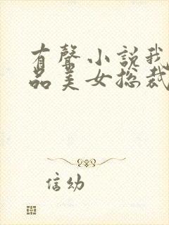 有声小说我的极品美女总裁