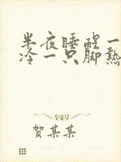 半夜睡醒一只脚冷一只脚热封面