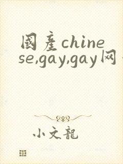 国产chinese,gay,gay网站