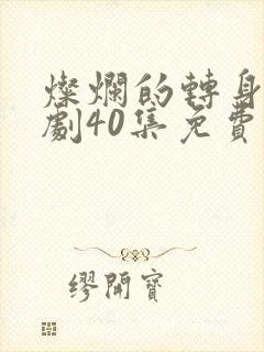 灿烂的转身电视剧40集免费观看全集