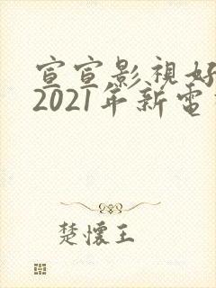 宣宣影视好看的2021年新电视剧