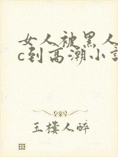 女人被黑人狂躁c到高潮小说