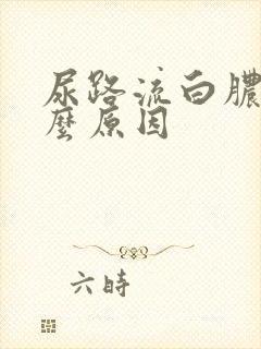 尿路流白脓是什么原因封面