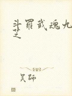 斗罗武魂九品龙芝