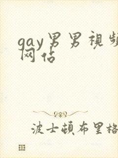 gay男男视频网站