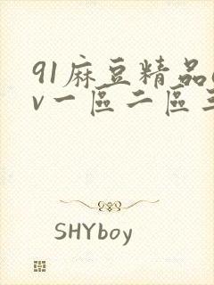 91麻豆精品av一区二区三区