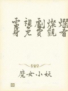 电视剧灿烂的转身免费观看高清