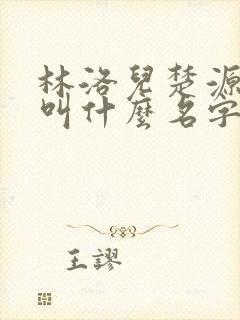 林洛儿楚源小说叫什么名字