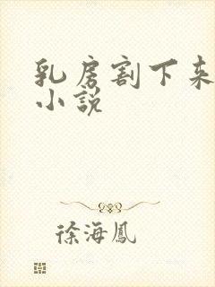 乳房割下来玩弄小说