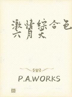 激情综合色婷婷六月天