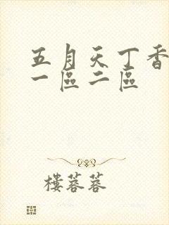 五月天丁香婷婷一区二区