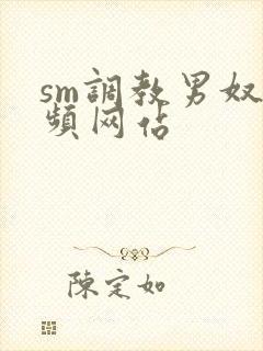 sm调教男奴视频网站