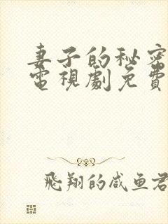 妻子的秘密韩剧电视剧免费观看