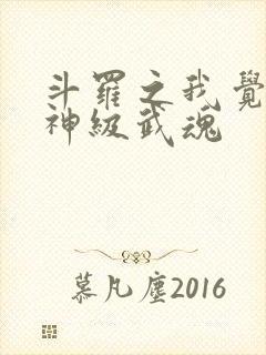 斗罗之我觉醒了神级武魂