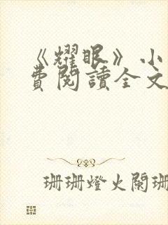 《耀眼》小说免费阅读全文