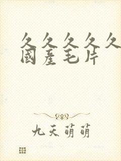 久久久久久精品国产毛片