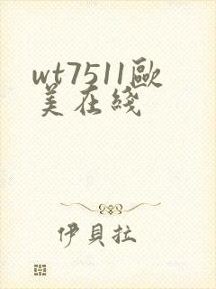 wt7511欧美在线