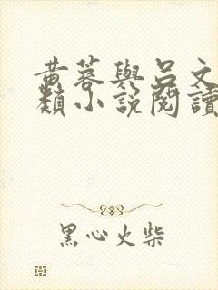 黄蓉与吕文德各类小说阅读