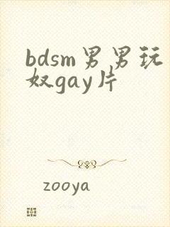 bdsm男男玩奴gay片