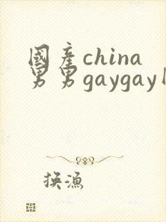 国产china男男gaygay网站