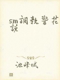 sm调教警花小说