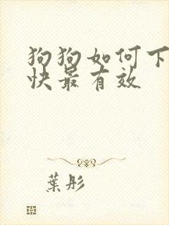 狗狗如何下奶最快最有效