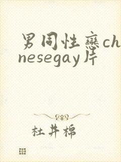 男同性恋chinesegay片