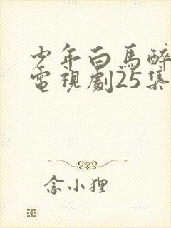 少年白马醉春风电视剧25集免费观看