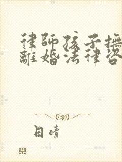 律师孩子抚养权离婚法律咨询