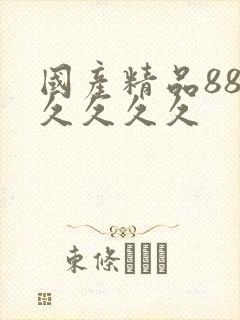 国产精品88久久久久久封面